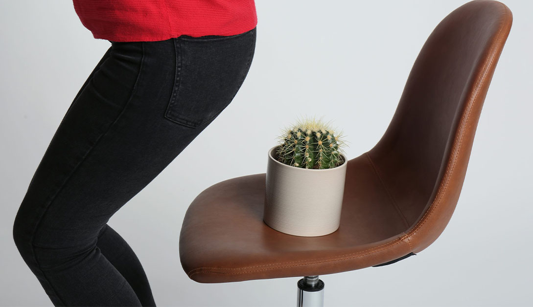 Piles, Fissures, and Fistulas